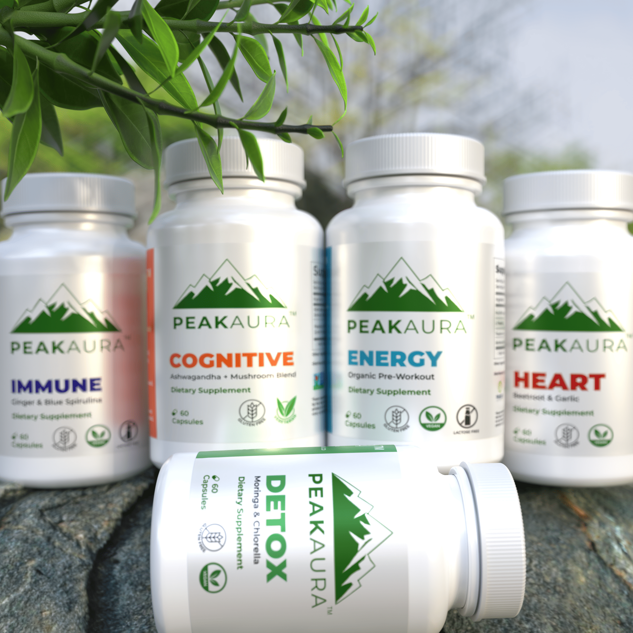 Immune Supplement Ingredients View